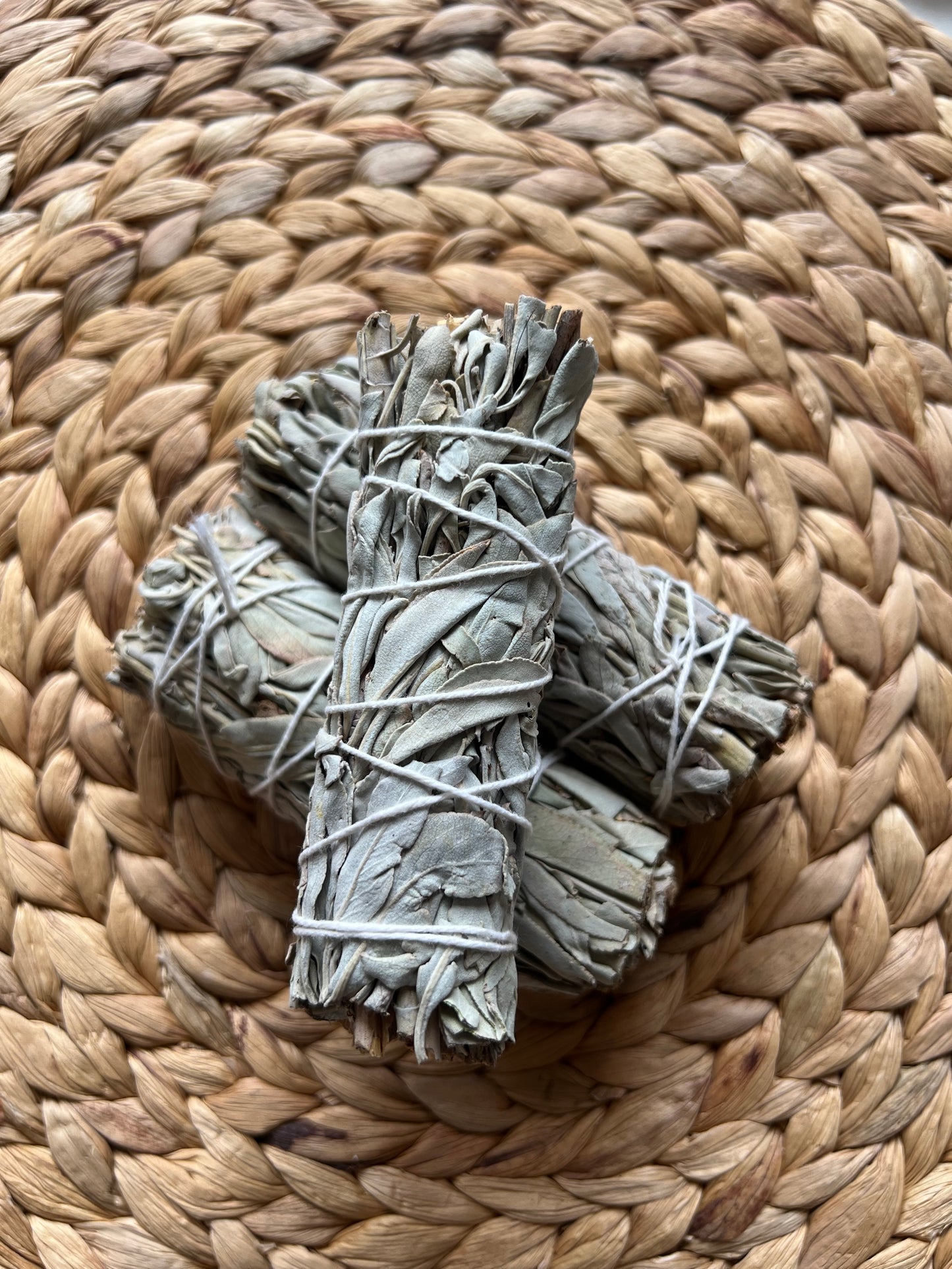 White Sage Bundle (California)