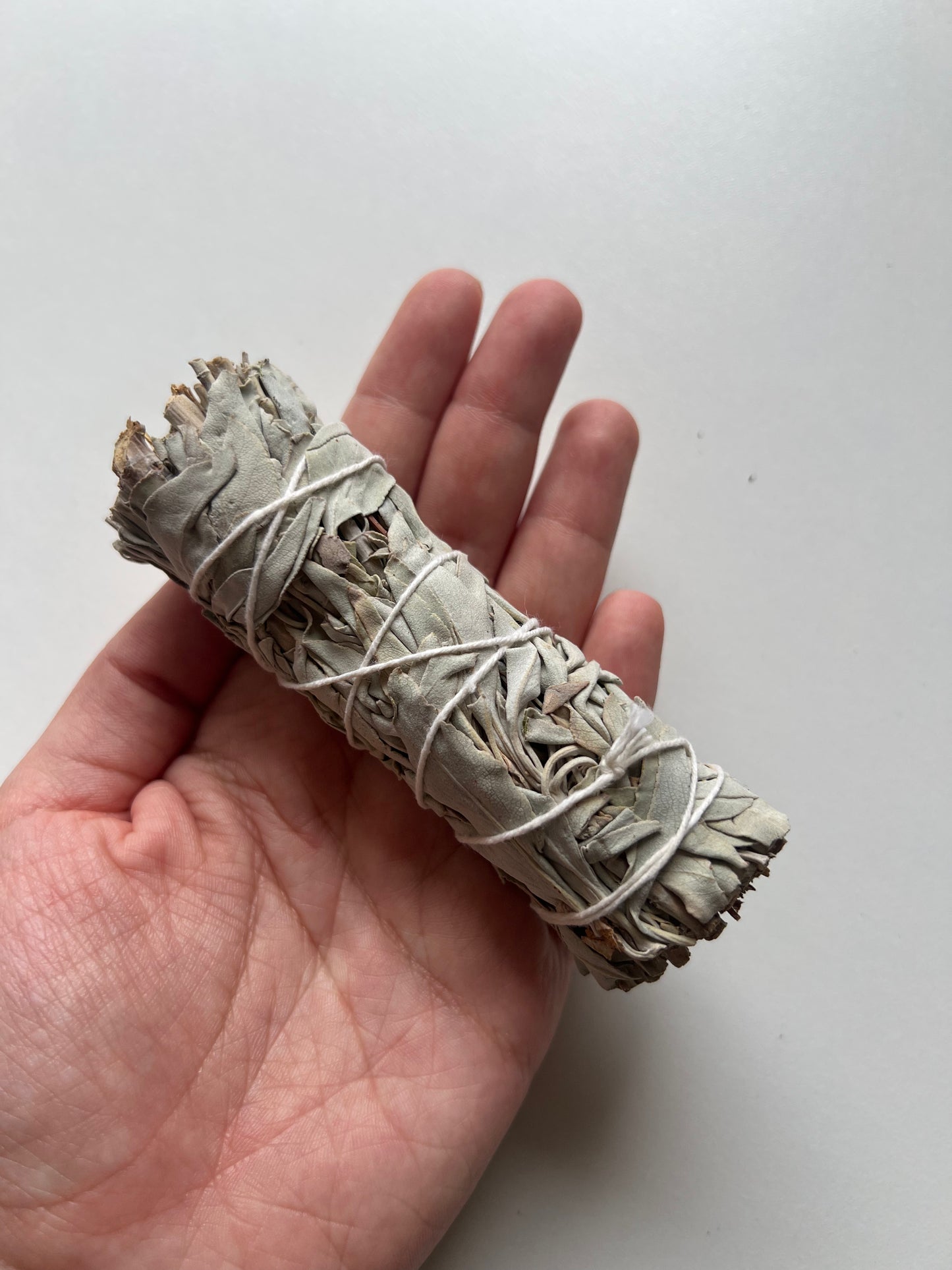 White Sage Bundle (California)